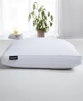 Beautyrest Luxury European Down Pillow