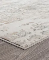 Lr Home Mango MICHE81638 7'10" x 9'10" Area Rug