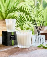 Nest New York Coconut & Palm Classic Candle, 8.1 oz.