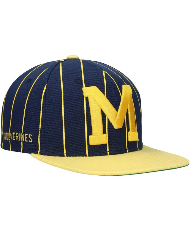 Mitchell & Ness Royal Florida Gators Team Pinstripe Snapback Hat