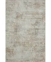 Lr Home Bienne BIENA82283 5' x 7'11" Area Rug