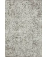 Lr Home Bienne BIENA82285 7'9" x 9'9" Area Rug