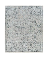 Livabliss Brunswick Bwk-2310 5' x 7'5" Area Rug