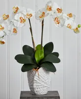 Nearly Natural Double Phalaenopsis Orchid Artificial Arrangement in White Ceramic Vase