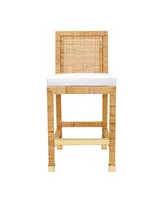 Tov Furniture Amara Rattan Counter Stool