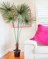 Nearly Natural 7' Fan Palm Uv-Resistant Indoor/Outdoor Tree