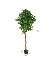 6' Ficus Artificial Tree