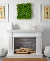 Nearly Natural 20" x 20" Lush Mediterranean Artificial Fern Wall Panel Uv Resistant