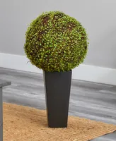 Nearly Natural Mohlenbechia Ball Artificial Plant in Black Tower Vase