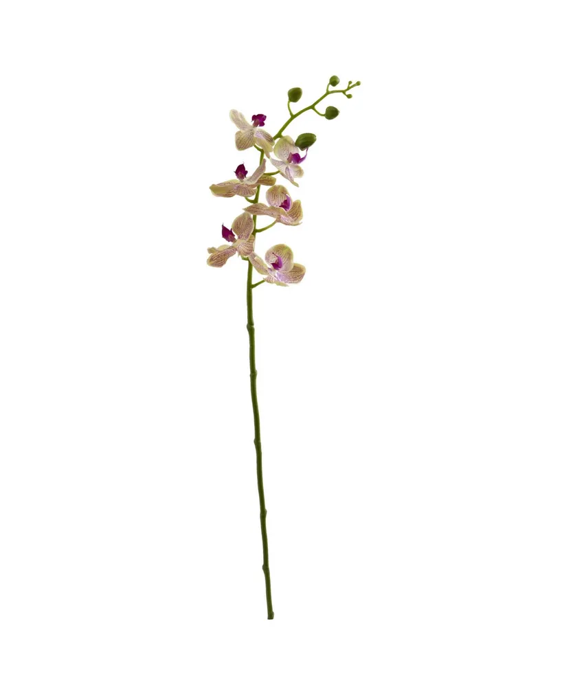 Nearly Natural Phalaenopsis Silk Orchid Flower Stems - Beauty, Set of 12 -  Artificial Flowers - Silk Flowers