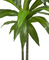 Nearly Natural Dracaena with Basket Silk Plant, Real Touch