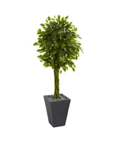 Nearly Natural 5' Braided Ficus Artificial Tree in Slate Planter Uv Resistant