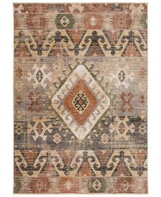 D Style Sergey SGY1 9' x 12'6" Area Rug