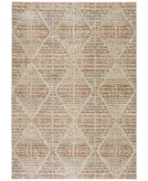 D Style Avilla AVL8 8' x 10' Area Rug