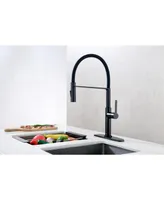 Simplie Fun Pull Down Single Handle Kitchen Faucet