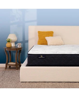 Serta Perfect Sleeper Adoring Night 10.5" Plush Mattress Set