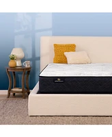 Serta Perfect Sleeper Adoring Night 10.5" Plush Mattress Set