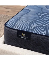 Serta Perfect Sleeper Dazzling Night 12" Medium Hybrid Mattress Set