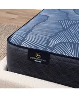 Serta Perfect Sleeper Euphoric Nights 14" Firm Hybrid Mattress Set, Queen Split