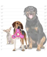 DuraForce Jr Triangle Ring Tiger Pink-Pink, 2-Pack Dog Toys