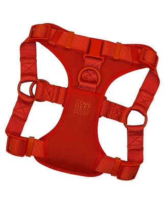 Orange Step Dog Harness