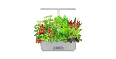 SonicGrace Hydroponics Growing System - Indoor Herb Garden Kit