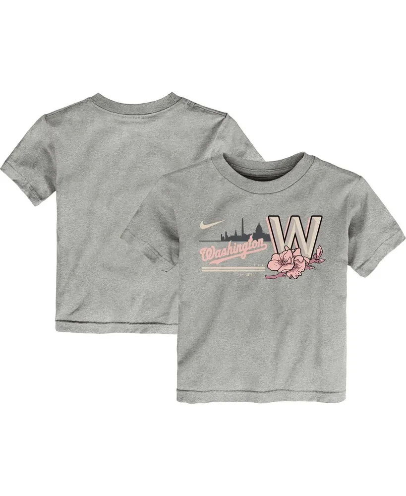 Nike Toddler Boys and Girls Gray Washington Nationals City Connect