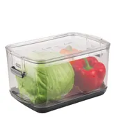 Prepworks Prokeeper Produce Storage Container