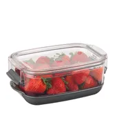 Prepworks Prokeeper Berry Produce Storage Container