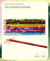 Lifelines Rub & Sniff Scented Colored Pencils - 10 Pack Infused with Essential Oil Blends