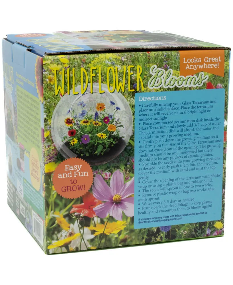 Unique Gardener Glass Terrarium Wildflower Blooms Plant Kit