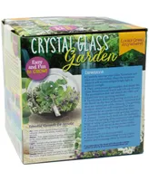 Unique Gardener Glass Terrarium Crystal Glass Garden Plant Kit