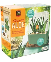 Unique Gardener Seed Squares Altruistic Aloe Plant Kit
