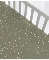 Living Textiles Baby Boys Printed Jersey Crib Sheet