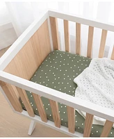 Living Textiles Baby Boys Printed Jersey Crib Sheet