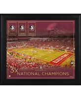 Florida State Seminoles Framed 15" x 17" Football Championship Count Collage