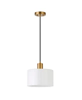 Hudson & Canal Henri 10" Glass Shade Wide Pendant