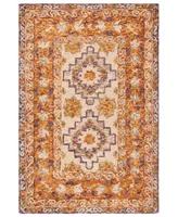 Safavieh Aurora APN127 3' x 5' Area Rug