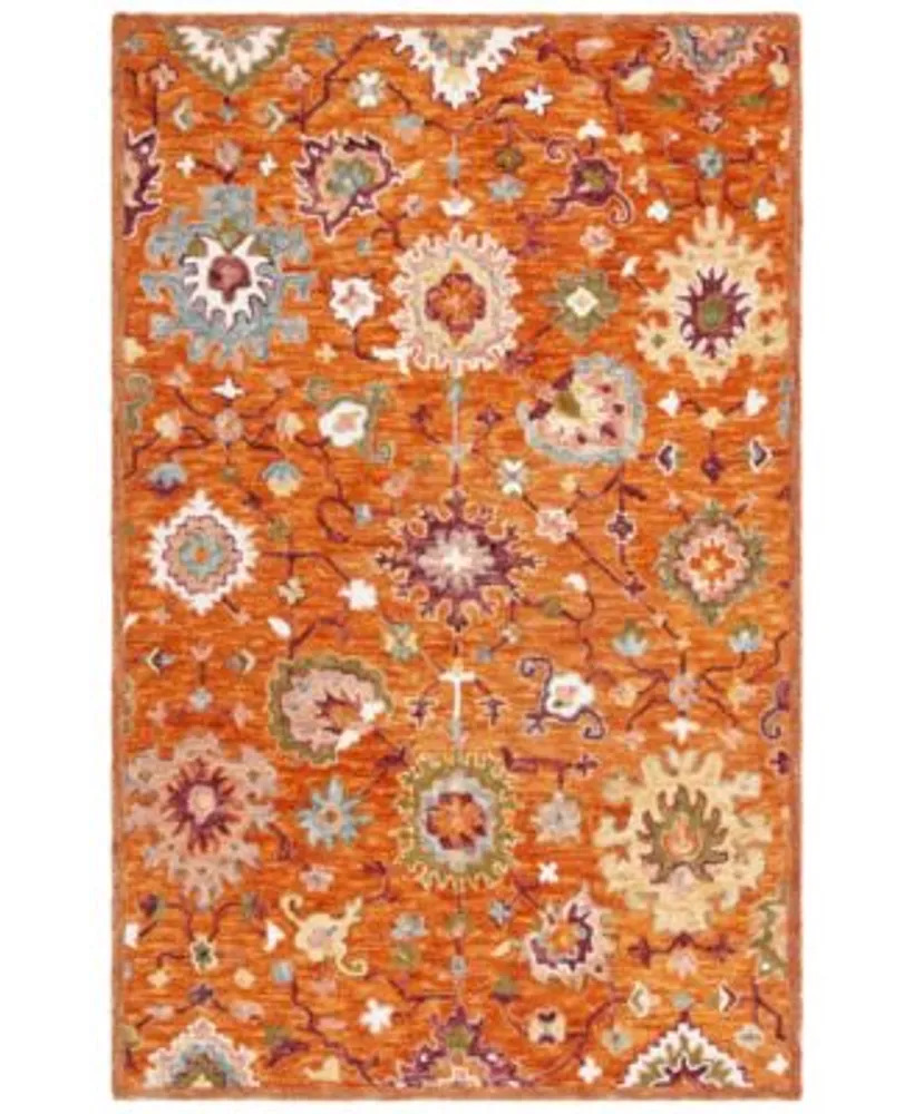 Safavieh Aurora Apn148 Area Rug