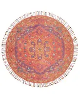 Safavieh Aurora Apn226 Area Rug