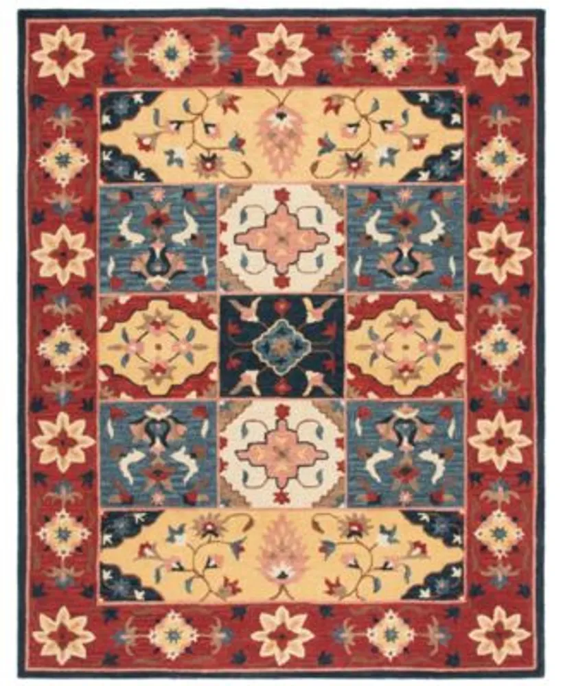 Safavieh Aurora Apn402 Area Rug