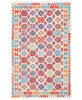 Safavieh Aurora APN410 8' x 10' Area Rug