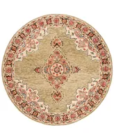 Safavieh Aurora APN506 7' x 7' Round Area Rug