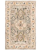 Safavieh Aurora APN601 2' x 3' Area Rug