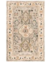 Safavieh Aurora Apn601 Area Rug