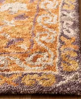 Safavieh Aurora APN127 3' x 5' Area Rug