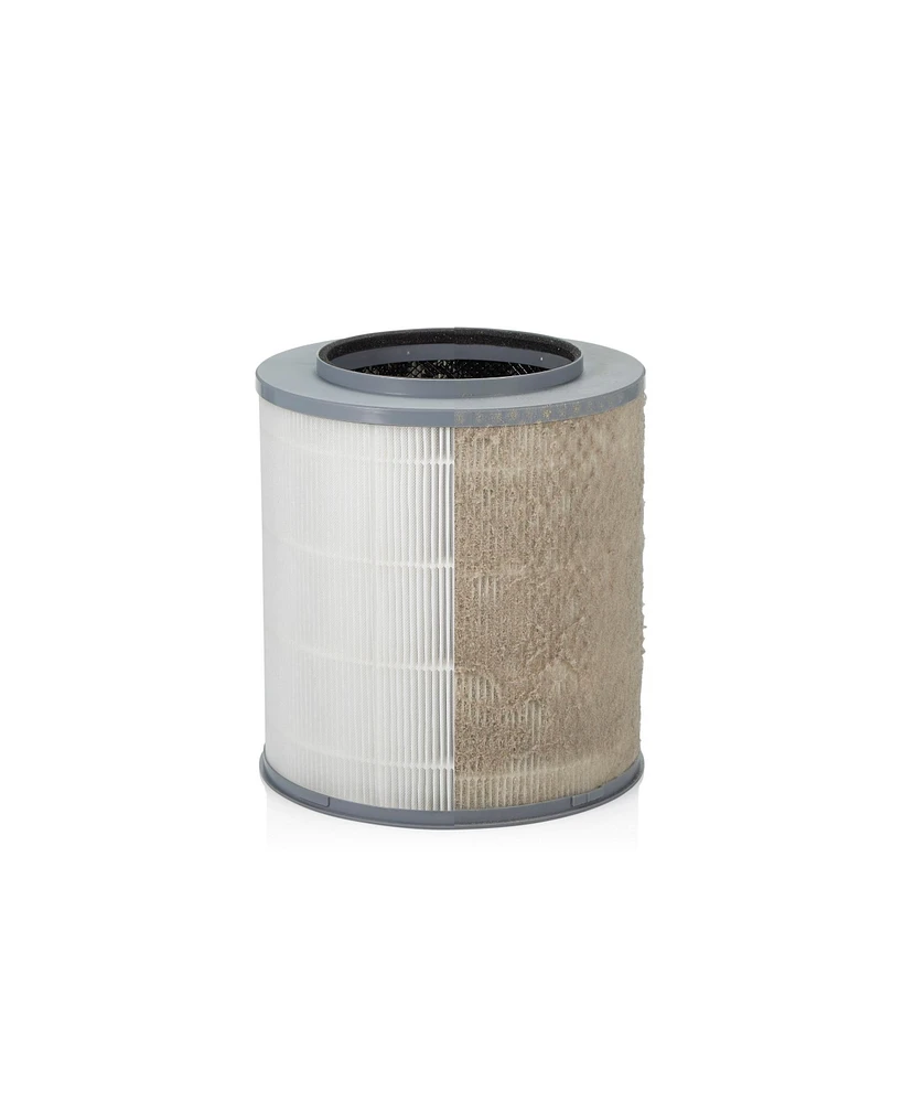 Clorox Medium Room True High Efficiency Particulate Air (Hepa) Air Purifier Replacement Filter