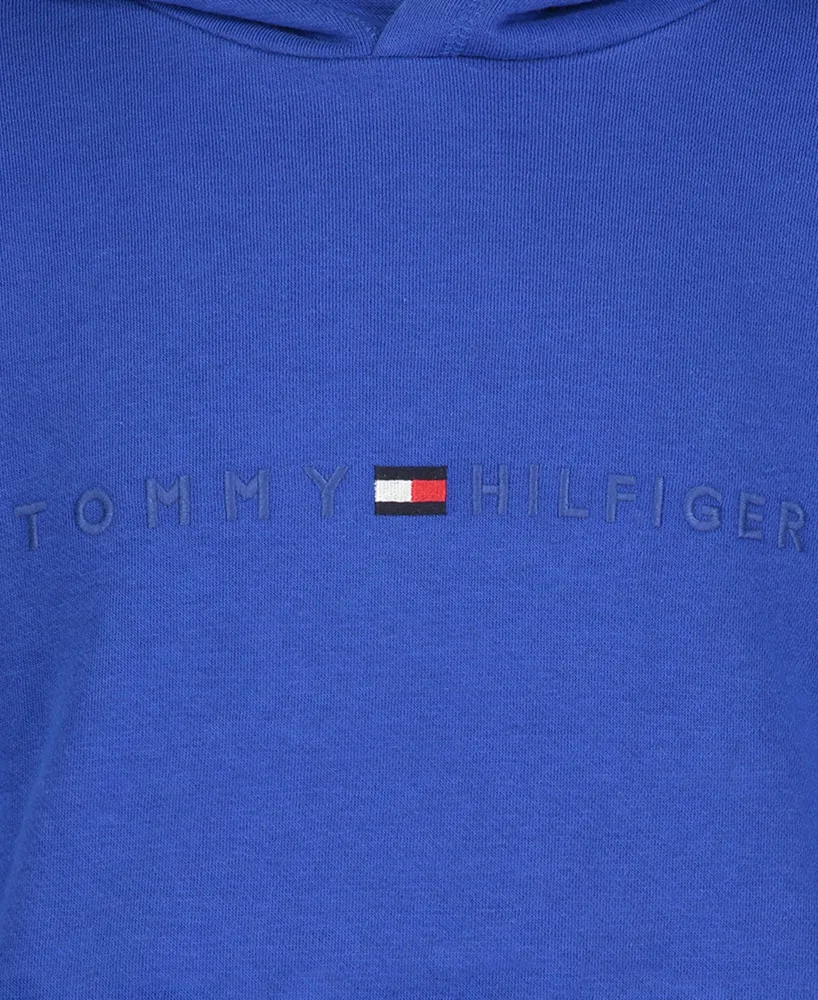 Tommy Hilfiger Little Boys Tomas Pullover Hoodie