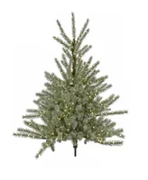 National Tree Company 4' Pre-Lit Christmas Evergreen Entrance Tree