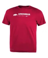 Preschool Boys and Girls Nike Cardinal Arkansas Razorbacks 2023 Sideline Legend Performance T-shirt